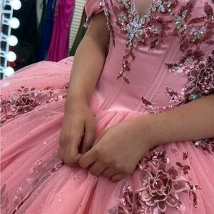Stunning, Brand New Quinceañera Dress